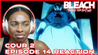 THE LAST 9 DAYS | BLEACH TYBW COUR 2 EPISODE 14 REACTION