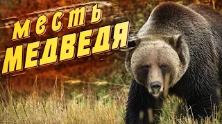 🐻Месть медведя! В тайге не бывает случайностей, есть только закономерность!