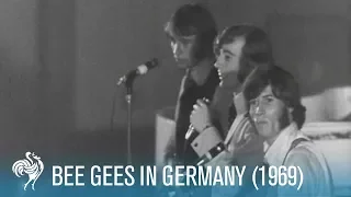 Bee Gees Perform in Hamburg, Germany (1969) | British Pathé