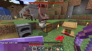 Can you sleep during village raids ? - Minecraft