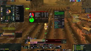 Paladin AoE // Dalson’s Tears (WPL) // Argent Dawn Rep + Gold // Classic WoW