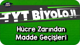 Hücre Zarından Madde Geçişleri | TYT Biyoloji #KAMP2024