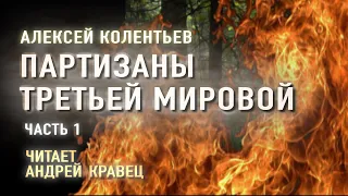 Аудиокнига. А.Колентьев "Партизаны третьей мировой". Часть 1. Читает Андрей Кравец.