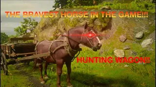 The BRAVEST HORSE in the game! Red Dead Redemption 2 Online