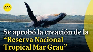 Consejo de ministros aprobó la creación de la 'Reserva Nacional Mar Tropical Grau'