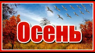 Осень...✦ Красивая спокойная мелодия в сопровождении сюжетов о осени Музыка Карена Саркисяна