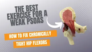 How To Strengthen A Weak Psoas | The Best Exercise For Tight Hips