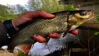 Мормышинг выручит даже в холодный Май