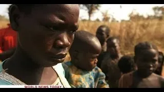 CENTRAL AFRICAN REPUBLIC: A NATION IN HIDING - BBC NEWS