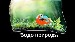 Бодо бородо + ШИЗА =