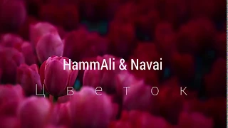 HammAli & Navai - Цветок 2018