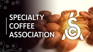Specialty Coffee Association или Ассоциация Спешелти Кофе | Как SCA меняет кофейную культуру