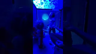 Visiting the Aquarium