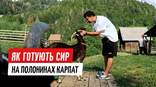 Смачні Карпати: як створюють крафтові гуцульскі сири