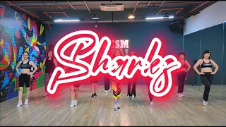 Sharks | Imagine Dragons | Tango | Choreography by Leesm