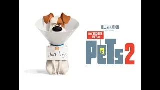 The Secret Life Of Pets 2  trailer by Mayo Movie World