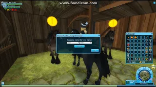 2014 Star Coin Shopping Spree! Jarlaheim, Greendale Forest, Valedale | Star Stable Nostalgia