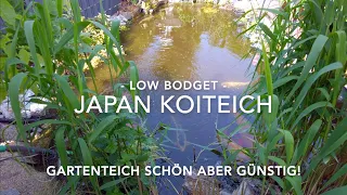 Low Budget - Koiteich Schön und Günstig - SELBST gebauter Teich mit 90 cm großen Kois Gartenteich