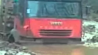 лесовоз IVECO