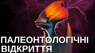 Скам'янілості-2022. Пір'я птерозаврів, дієта носорогів та едіакарська істота