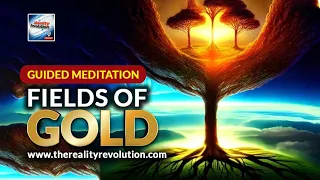 Guided Meditation - Fields Of Gold (Manifest Abundance And Prosperity)