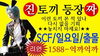 scf 브이로그 ~토끼보다 더 귀엽다! HiMERU 일요일 출몰!~[Vlog]