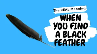 Finding a BLACK FEATHER Real Meaning