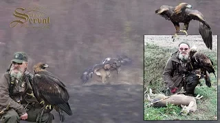 Hari Herak - Hunting with Eagle  - Laslovo 2018