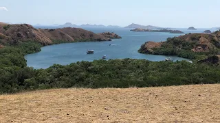 Visiting Komodo National Park, Indonesia