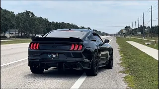 Mustang GT Stainless Power x Borla exhaust (Flybys, Revs, POV Drive, Burble)