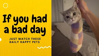 If you had a bad day, just watch these daily happy pets | Day 9