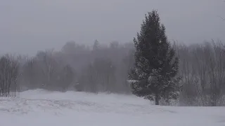 Snow blizzard relaxing sound of wind strong wind and snow [4K Ultra HD]