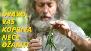 TODOR PEŠTERSKI - Kako se jede živa kopriva? 🌿