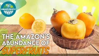 The AMAZON'S TOP 5 SUPERFRUITS  | AMARUMAYU Community