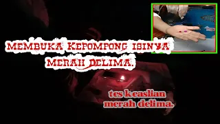 Membuka merah Delima💎 di dalam kepompong 🐛.