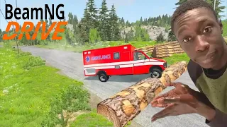 Cars vs Fallen Tree -   BeamNG Drive