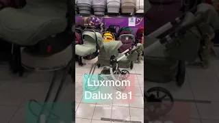 Коляска 3в1 до 18000 рублей. Luxmom Dalux в богатой комплектации в Dks. Обзор По-быстрому!