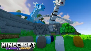 Breeding Dragons in MineCraft - Ultimate Knight Ep 43