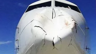 Birds vs Planes: Jet lands safely after bird strike; Airplane crashes into big fat bird - Compilatio