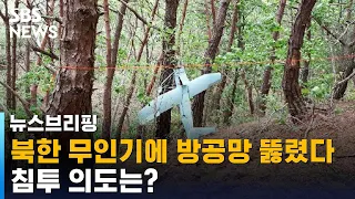 북한 무인기에 방공망 뚫렸다…침투 의도는? / SBS / 주영진의 뉴스브리핑