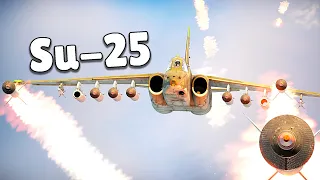Su-25 Experience