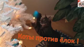 коты против ёлок #1 cats vs christmas trees