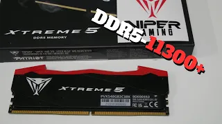 Patriot Viper Xtreme 5 DDR5 Overclocked to 11300MT/s on LN2