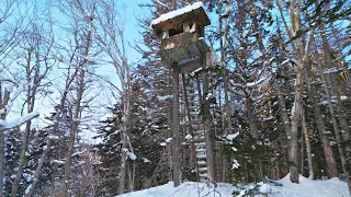 TREE HOUSE - Night in the HUNTERS' HUT | LOG CABIN - SURVIVAL in the wild, snowy forest
