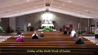 Daily Mass 12 Noon - Friday, May 10, 2024