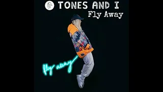Tone And I - Fly Away | Lyrics ( Remix)