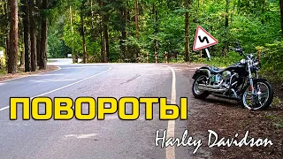 Где порулить на Harley Davidson ?  #cruiservibe