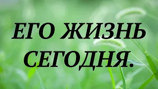 ЕГО ЖИЗНЬ СЕГОДНЯ? | общий таро расклад | таро гадание | онлайн таро ютуб |