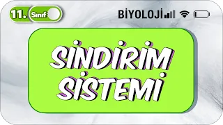 Sindirim Sistemi | Tek Videoda Anlatım | 11. Sınıf Biyoloji  #2023