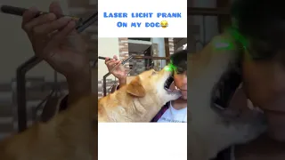 Laser light prank gone wrong #minivlog #shorts | Anant rastogi